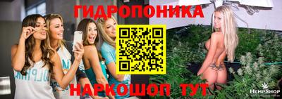 ГАЛЛЮЦИНОГЕННЫЕ ГРИБЫ Беслан
